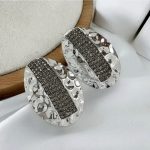 Oval  Earring