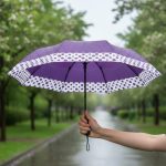 Polka dot umbrella (C1)
