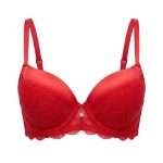 Microfibre and lace t-shirt bra (866B)